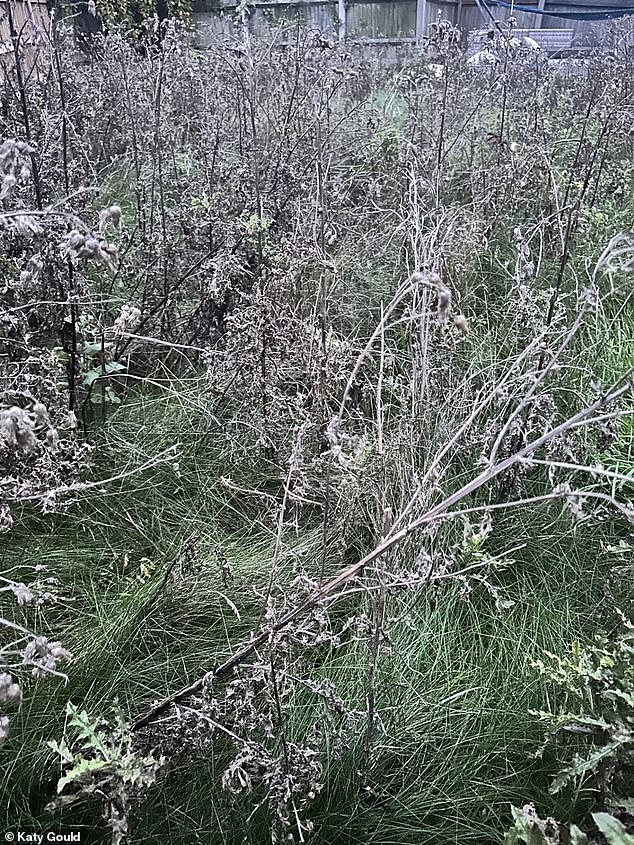 The back garden today: Miss Gould is still waiting for compensation to put her home right again