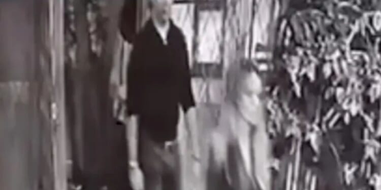 Shocking moment Angelina Jolie’s guard is collared by Ukrainian soldiers to be marched to frontline while escorting star