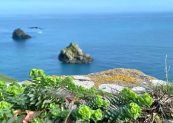 Huge blow for English Riviera as big trust goes into liquidation