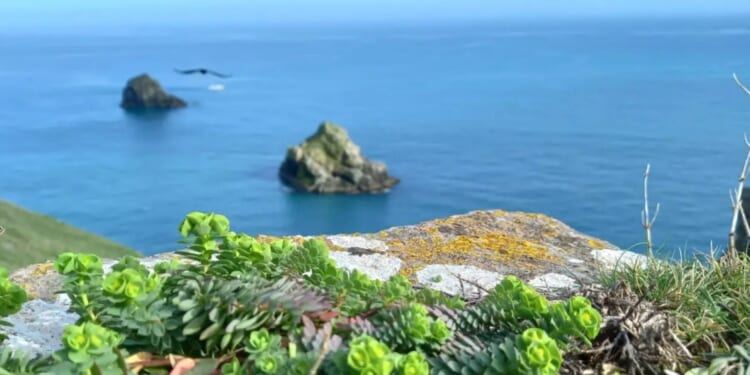 Huge blow for English Riviera as big trust goes into liquidation