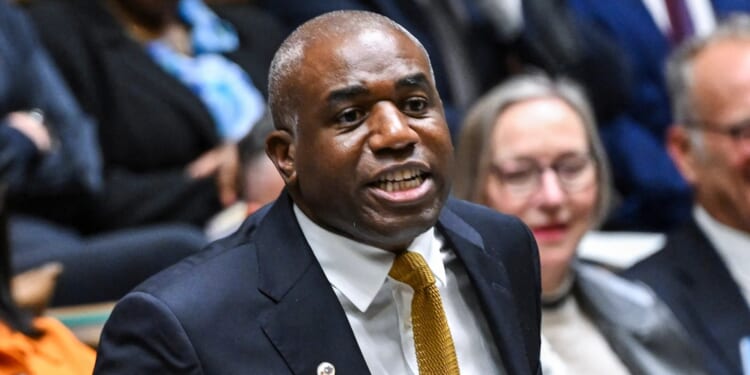 Calamity Lammy's presided over a circus since taking over as Justice chief