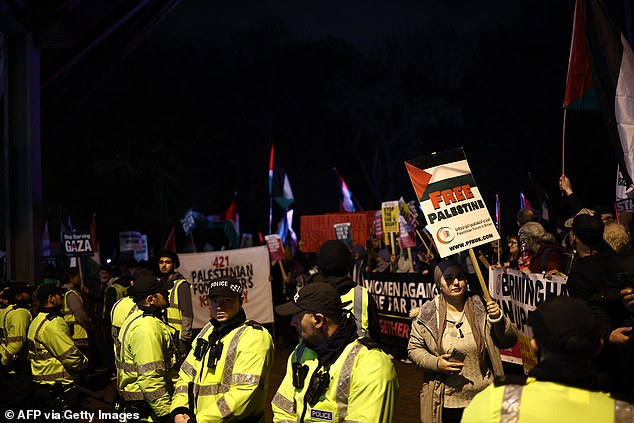 People holding banners in support of Palestine rub shoulders with rows of police officers outside Villa Park