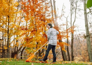 Four top tips for your garden over autumn & winter to help save cash in the long run