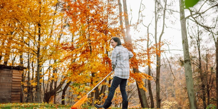 Four top tips for your garden over autumn & winter to help save cash in the long run