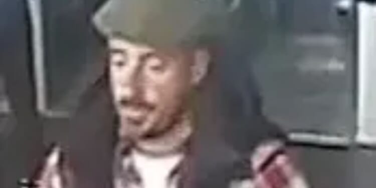 Woman 'sexually assaulted' on board train to major UK airport as cops release CCTV in hunt for man