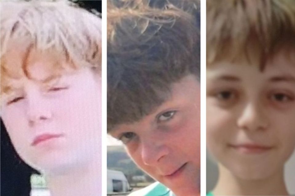 NINTCHDBPICT001036759246