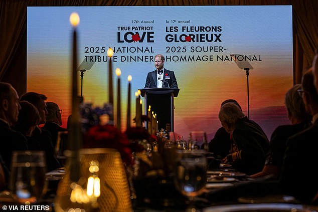 Harry's speech went down well with the crowd