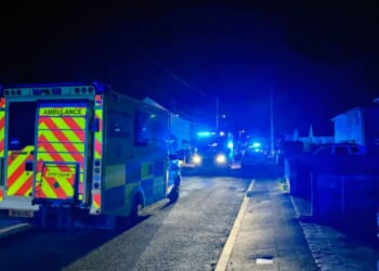 Two arrested over death of nine-month-old baby killed in horror XL Bully attack