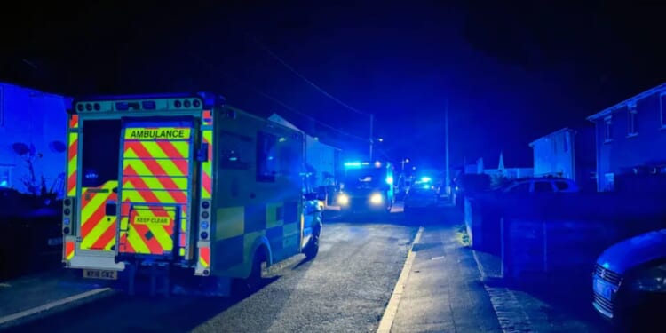 Two arrested over death of nine-month-old baby killed in horror XL Bully attack