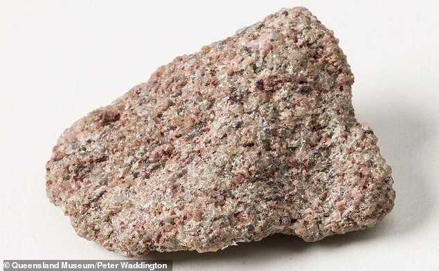 A fragment of the Stone gifted to Queensland Museum in Australia (image courtesy of Queensland Museum and photographer Peter Waddington)
