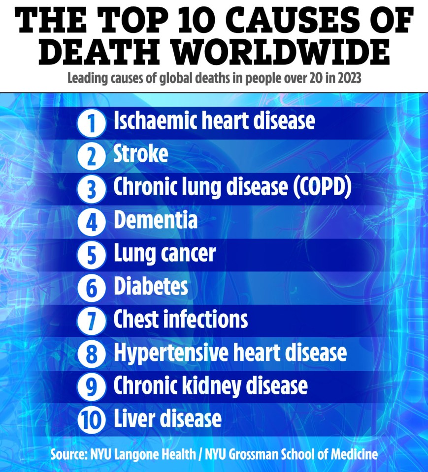 Illustration of the top 10 causes of death worldwide in people over 20 in 2023.