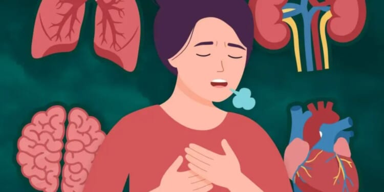 The top 10 causes of death worldwide