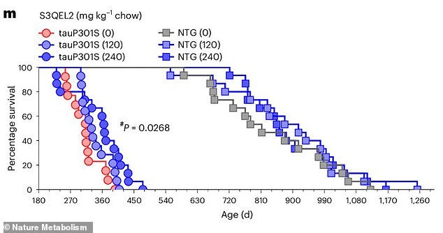 The graph shows the survival advantage that the sick treated mice [tauP301S (120) and tauP301S (240)] had over the mice that received standard chow [tauP301S]. Survival also improved in healthy mice given the treatment [NTG (120) and NTG (240)] compared to those without it [NTG (0)]