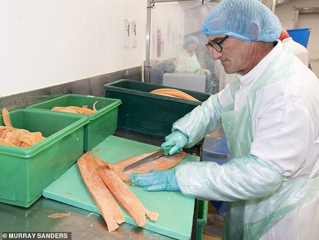 Freezing helps extend the shelf life. Also, it’s easier to cut fish when its partially frozen, says Mark Turner, commercial director of the Wonderfield Group
