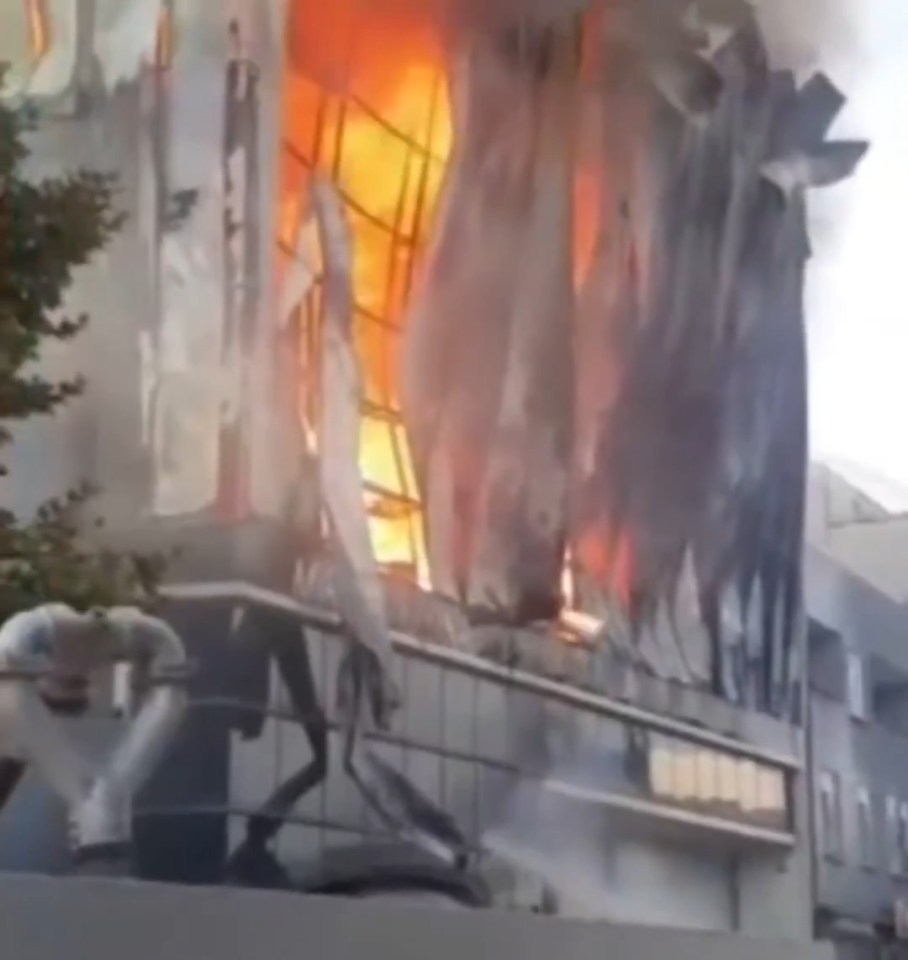 NINTCHDBPICT001037006426