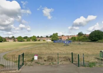 Boy, 5, left with horror injuries after being mauled by 'bull breed' dog while playing in park