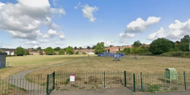 Boy, 5, left with horror injuries after being mauled by 'bull breed' dog while playing in park