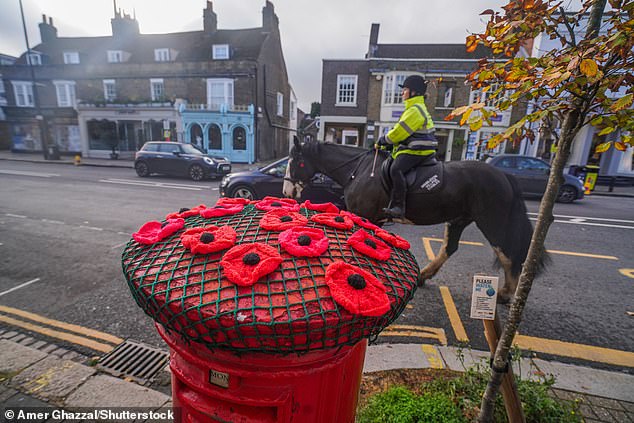 There are poppy decorations on the streets of Wimbledon with postboxes knitted with the flowers