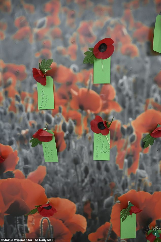 The Stratford Centre shopping centre had a poppy memorial display but fewer people appear to be wearing them