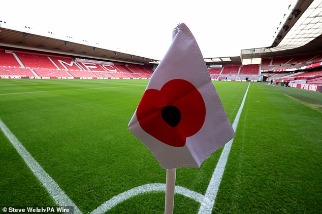 A close up of a poppy corner flag in the ground ahead of the Sky Bet Championship match at Riverside Stadium, Middlesbrough