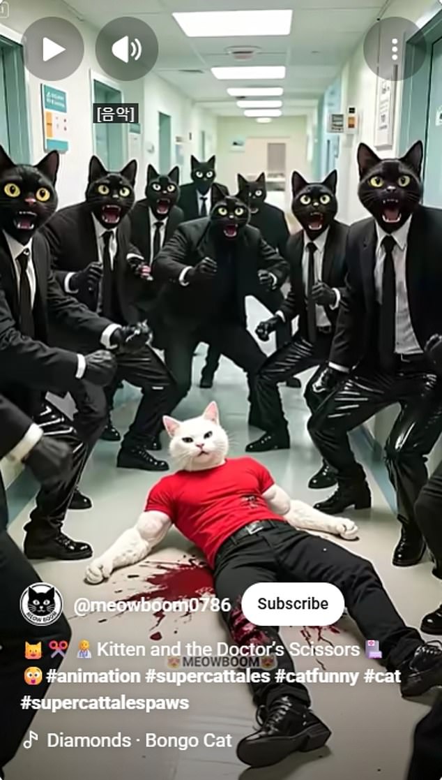 Some of the videos include blood and disturbing imagery of injuries