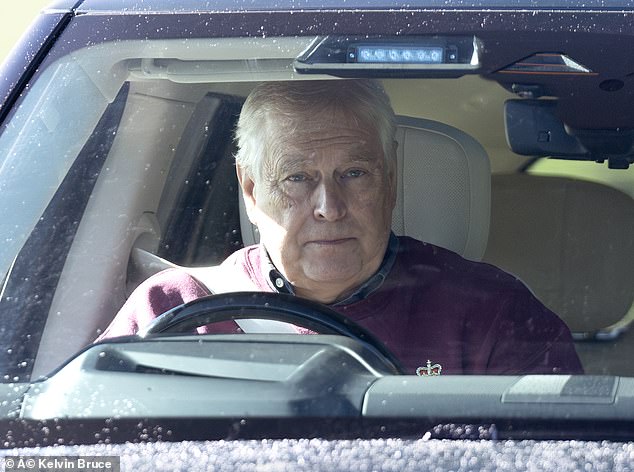 Ordinary: Andrew - seen driving his car through Windsor Great Park - will now be considered a regular member of the public
