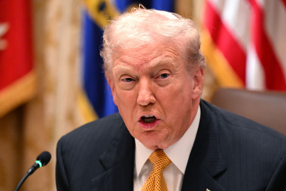 Donald Trump speaking during a bilateral lunch with Prime Minister of Hungary Viktor Orban.