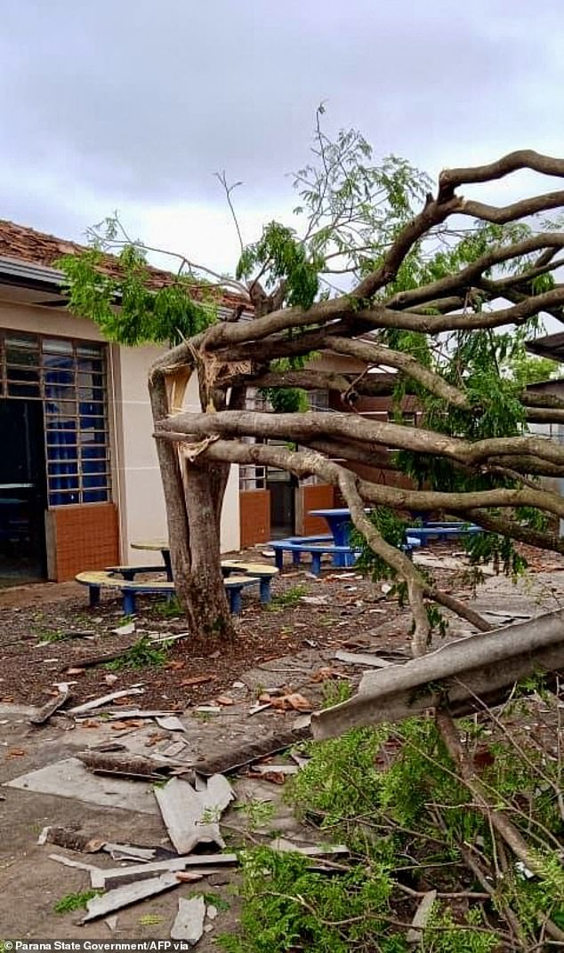Climatempo, a Brazilian TV channel specialising in weather forecasts, reported that the cyclone is associated with a cold front and may generate wind gusts above 100 km/h in states such as Rio Grande do Sul, Santa Catarina and São Paulo