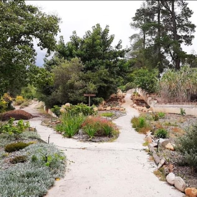 The retreat demands complete silence for the entirety of your stay