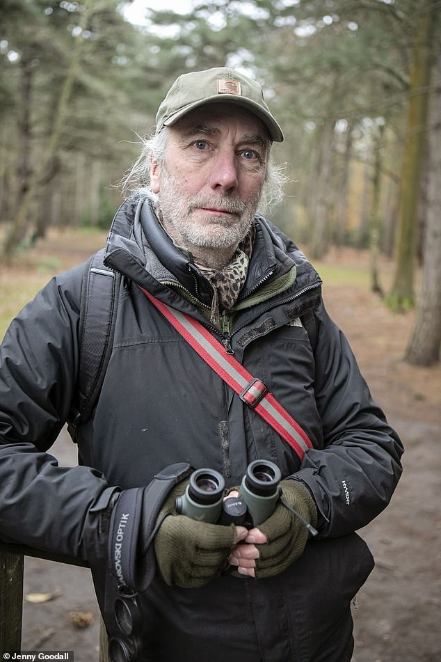 The British Trust for Ornithology says that the number of blackbirds in the UK fell 20 per cent between 1963 and 2023 because of factors including habitat loss, writes Simon Barnes