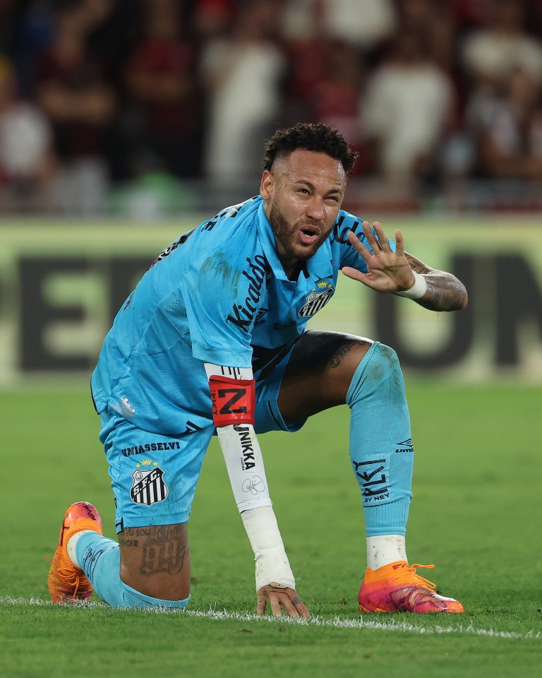 Flamengo v Santos - Brasileirao 2025