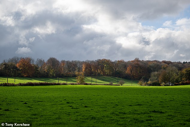 General view of fields around Alton that could be turned into housing
