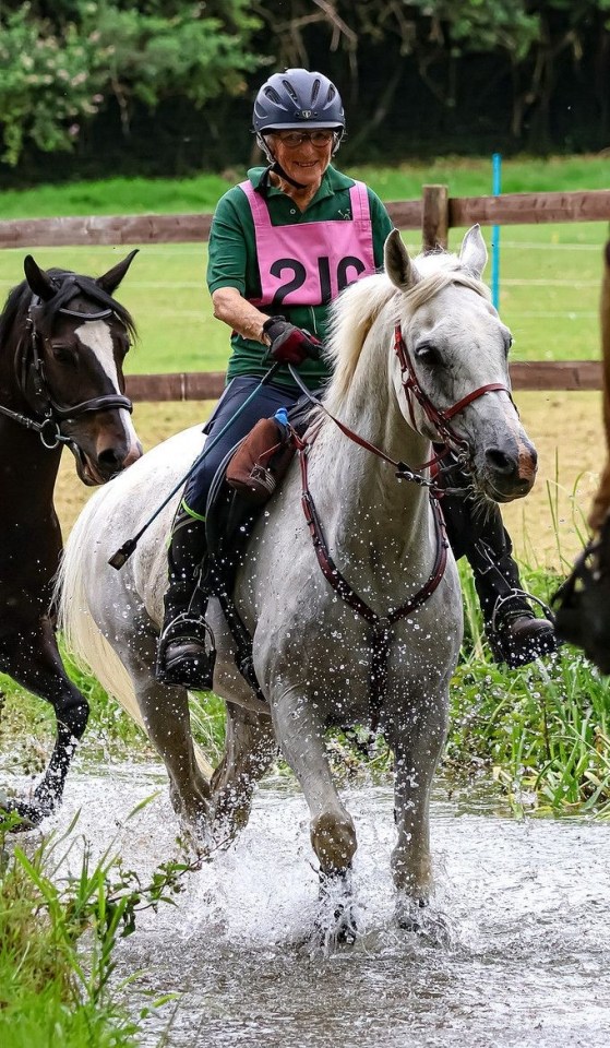 NINTCHDBPICT001036548809