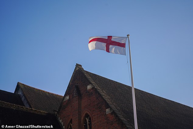 Staff feel intimidated by the presence of the flags across the country, including when they are visiting people in their own homes to give them treatment (File image)