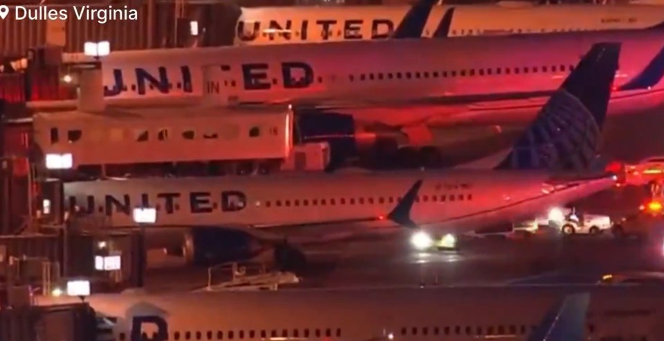 NINTCHDBPICT001037726857