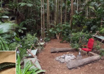 I’m A Celeb camp over-run with blood-sucking LEECHES as camp floods days before show kicks off