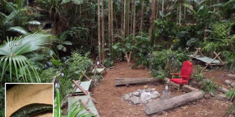 I’m A Celeb camp over-run with blood-sucking LEECHES as camp floods days before show kicks off
