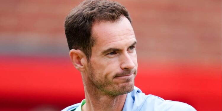 'I think it would be a brilliant job'