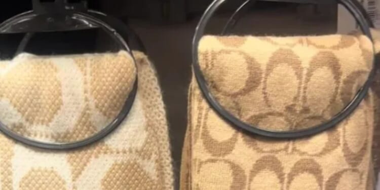 Thrifty fashionistas are flooding to TK Maxx to snap up viral designer winter accessories