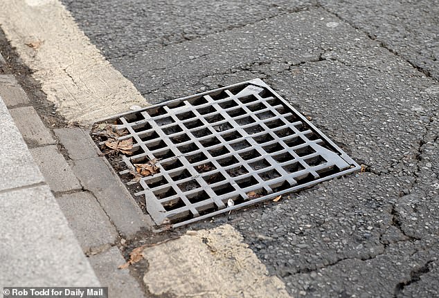 The drain which Ms Yesilyurt poured the last little bit of her coffee down in Richmond, west London