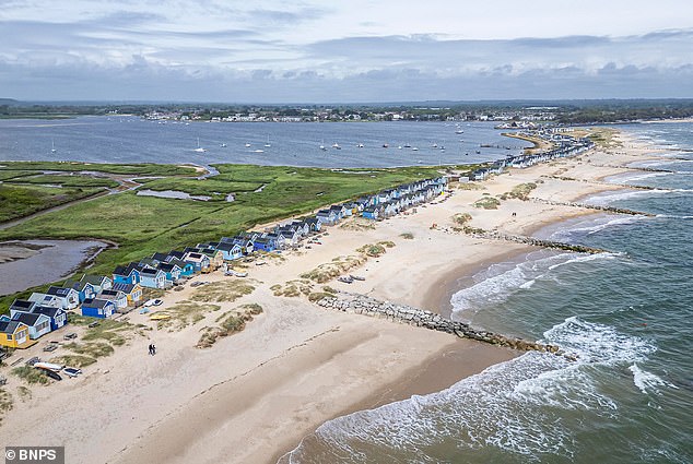 Now Mudeford Sandbank Beach Hut Association (MSBHA), which represents hut owners, has applied for the premises' licence to be reviewed (pictured: the huts from above