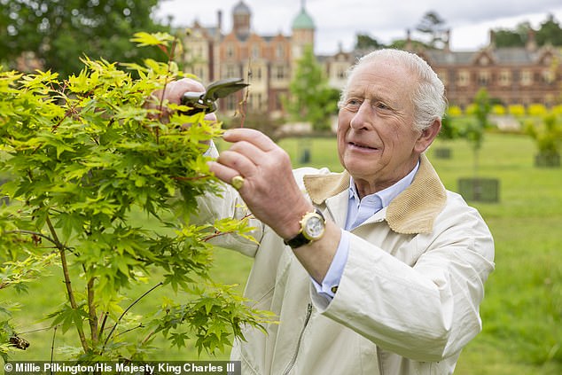Country Life editor-in-chief Mark Hedges described the King's (pictured) restoration of the gardens since he became monarch as 'remarkable'