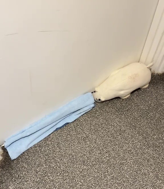 NINTCHDBPICT001038032592