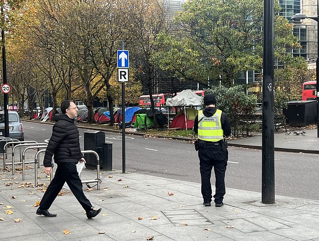 Council workers wearing hi-vis jackets were seen visiting the site when the Daily Mail visited earlier this month