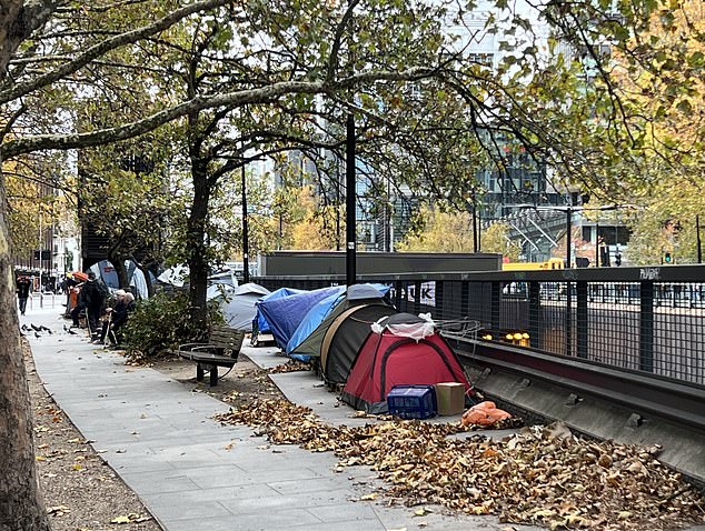 Some plots had gazebos, tables, chairs and cooking equipment - while stacks of uneaten food from Costa and Greggs were seen nearby