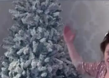 Savvy mum shows how she makes her cheap Christmas tree look posh with almost no effort & people are incredibly impressed