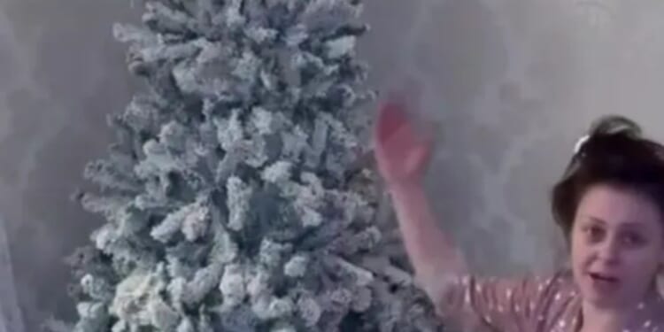 Savvy mum shows how she makes her cheap Christmas tree look posh with almost no effort & people are incredibly impressed
