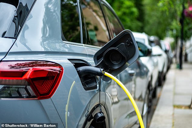 Existing residents within the zone will hold onto their discounts - but anyone moving to the area after March 2027 will only be eligible for one if they drive an electric car