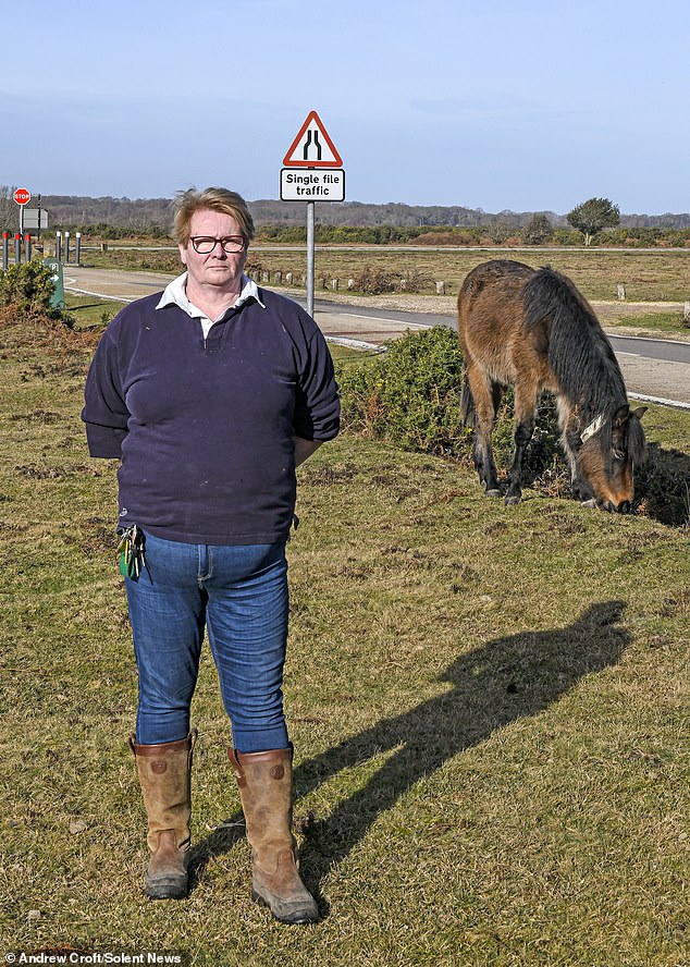 New Forest animal safety campaigner Gilly Jones (pictured) said people are getting too close to the pigs just to take photos and videos