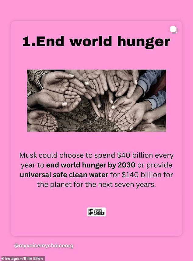 One slide claimed Musk could spend $40 billion a year to end world hunger by 2030, or $140 billion to supply safe drinking water to the entire planet for seven years